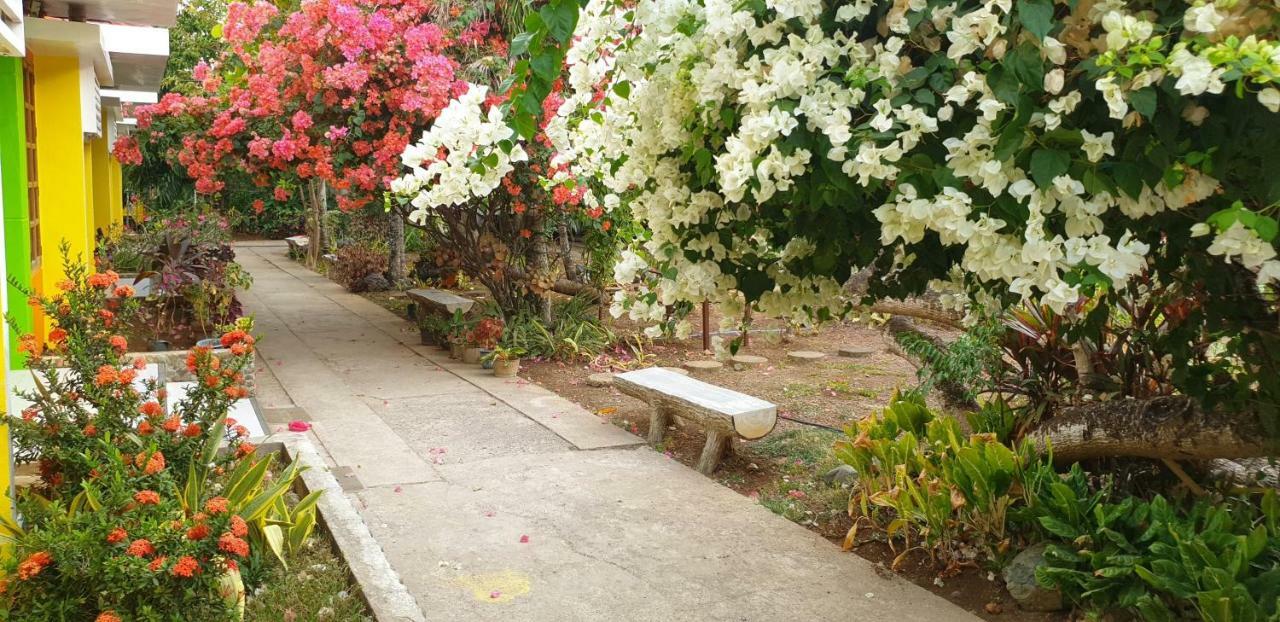 Balai Felicisima Bed & Breakfast Puerto Princesa ภายนอก รูปภาพ